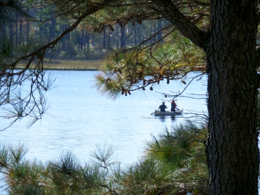 Canoeing on Salt Pond